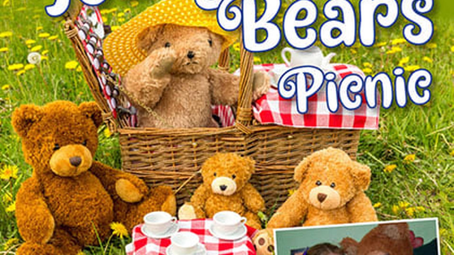 Teddy Bear's Picnic photo