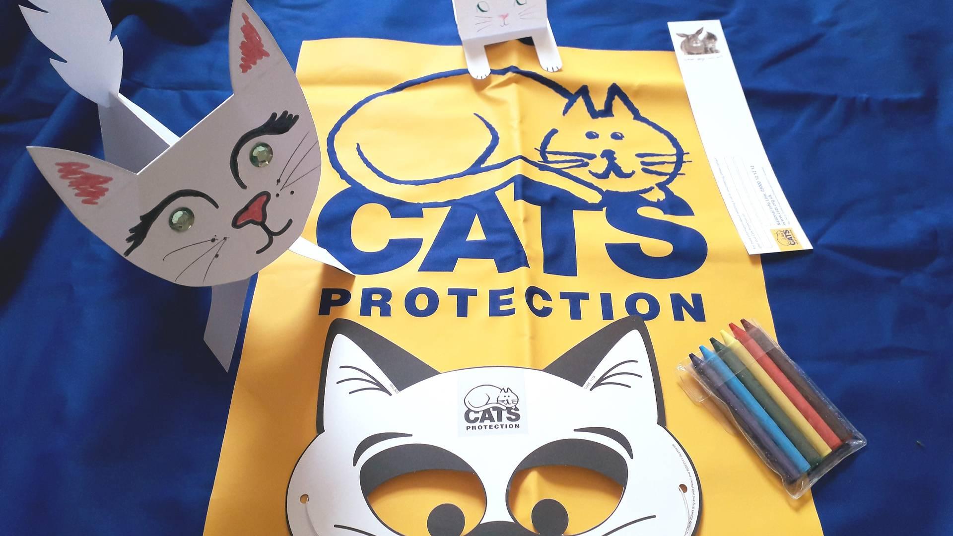 Cats Protection - Education photo