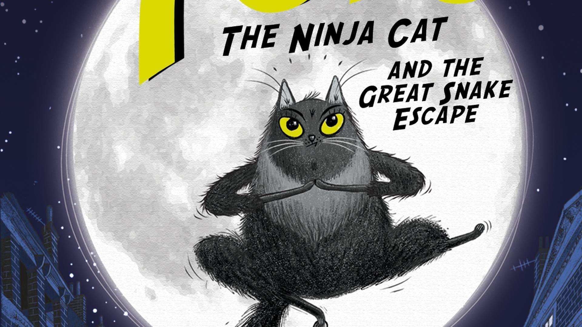 Toto the Ninja Cat and the Great Snake Escape photo