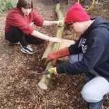 Activity image