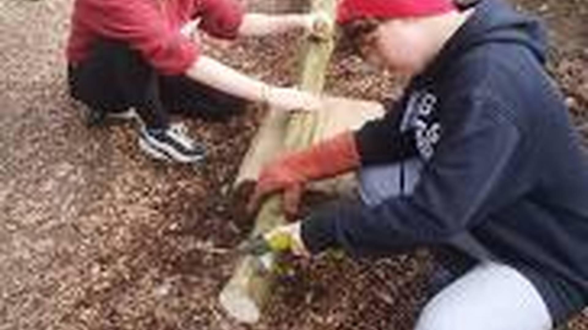 Youth Club Group at Bath City Farm photo