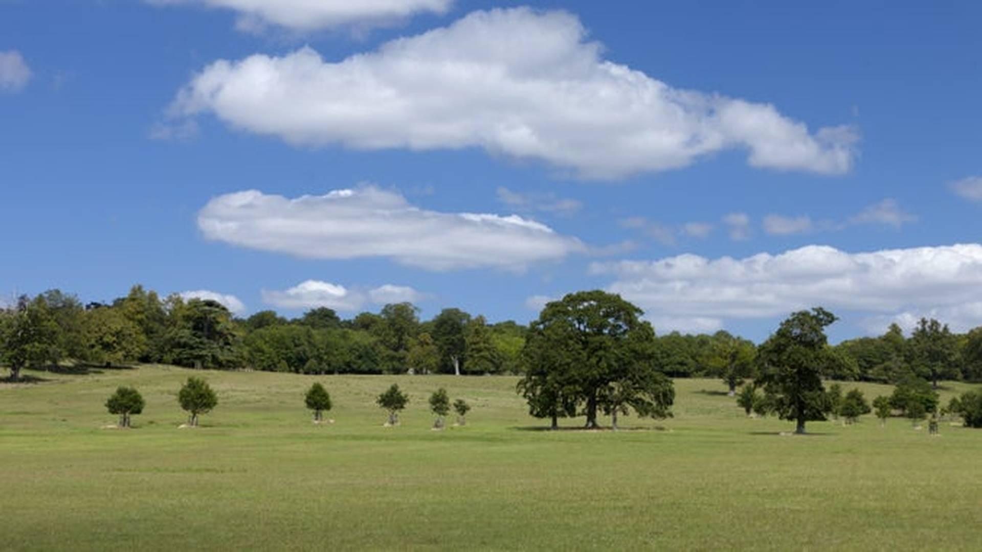 Village Open Day photo