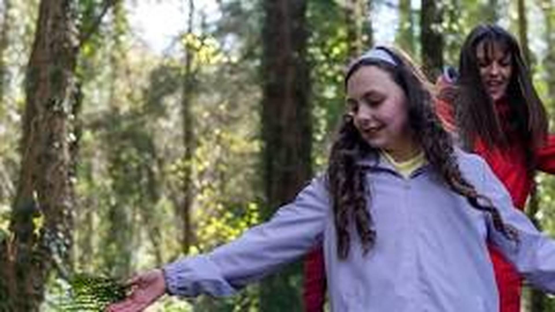 Summer Adventure, Delamont Country Park | Forest Activities photo