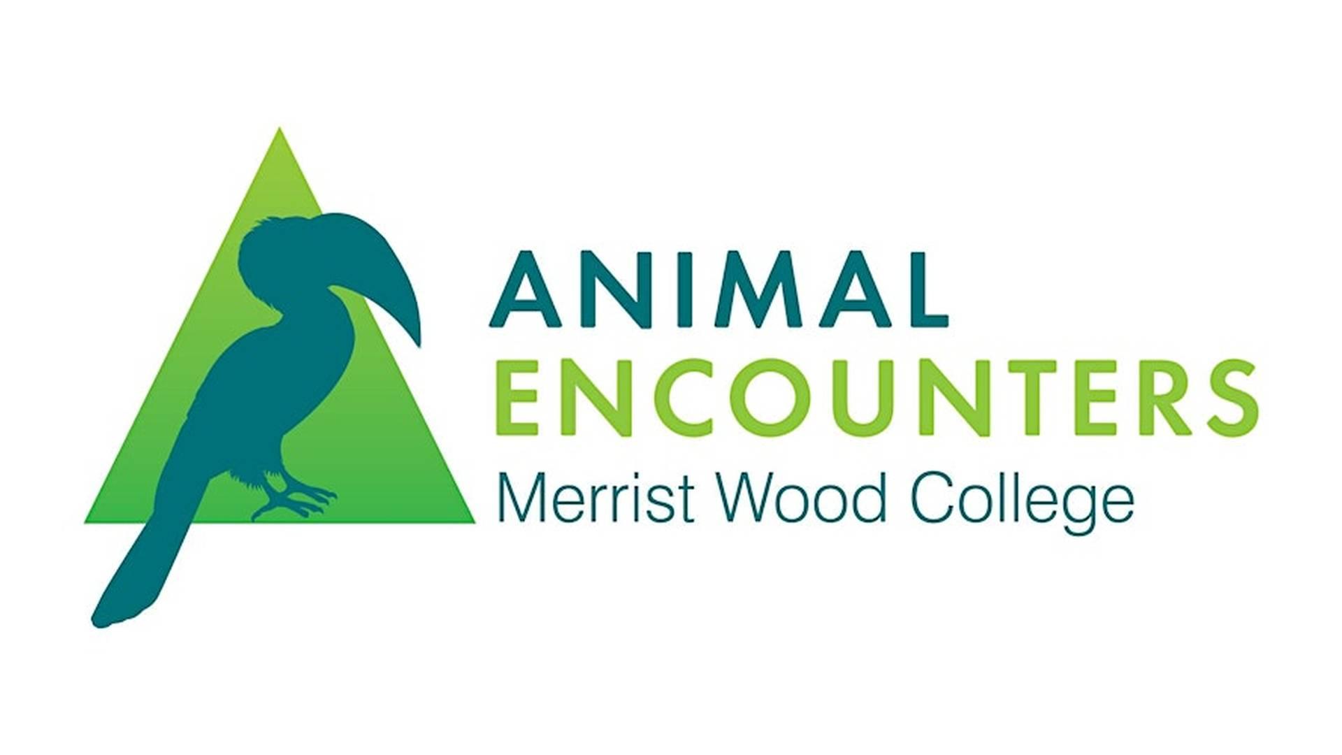 Merrist Wood Animal Encounter Tour photo