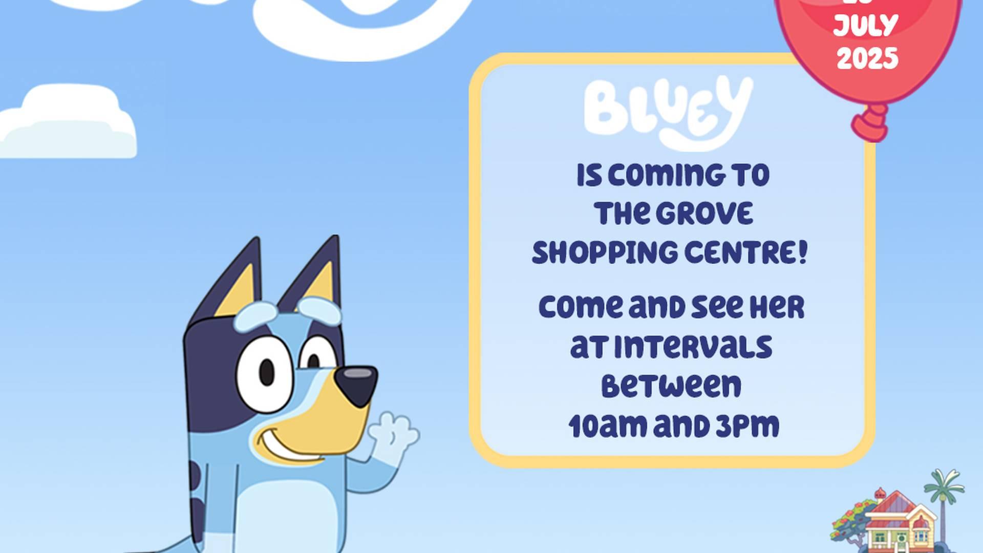 Bluey at The Grove! photo