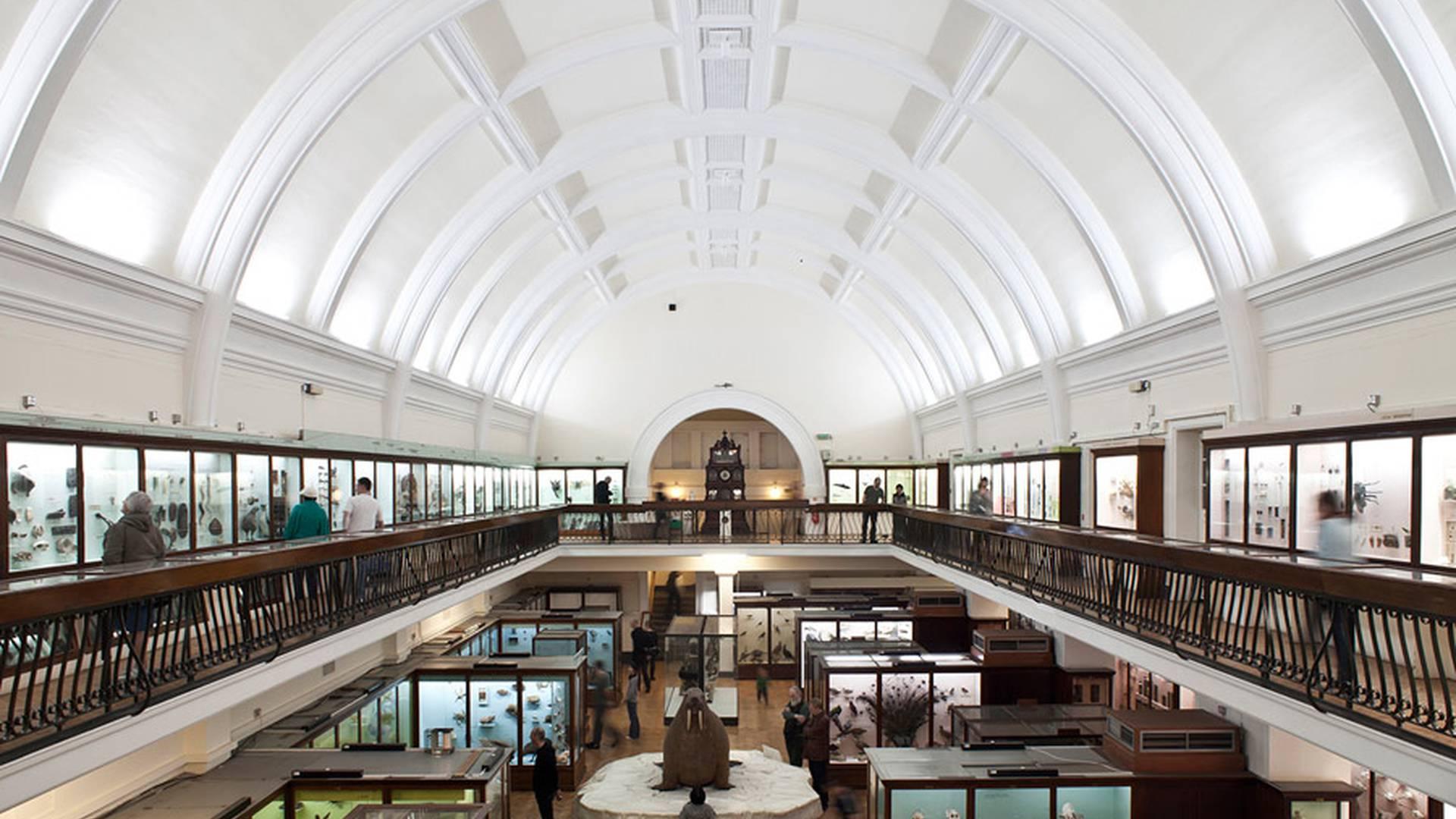 Horniman Museum and Gardens photo