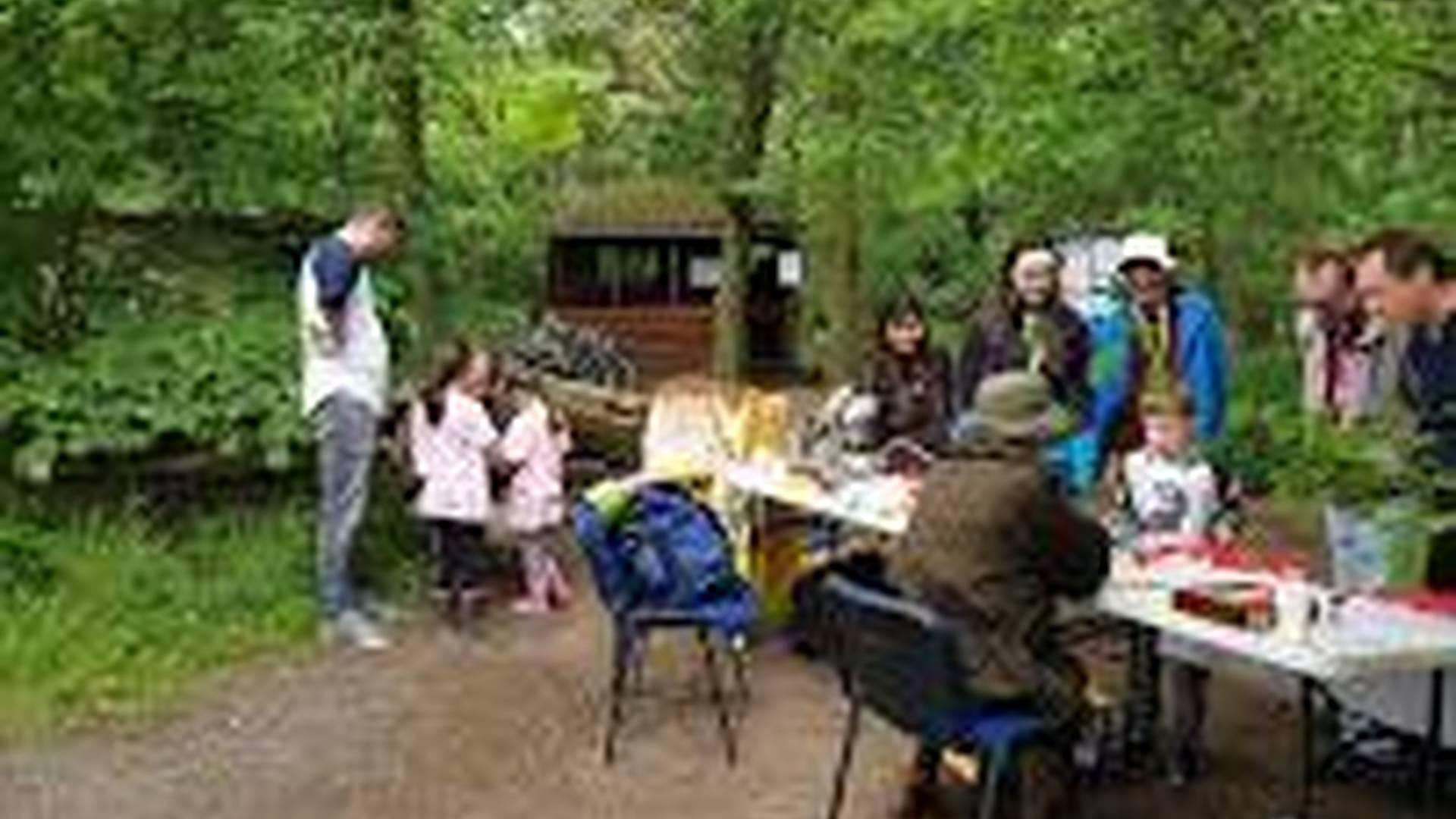 Gosforth’s Wild Web Bioblitz photo