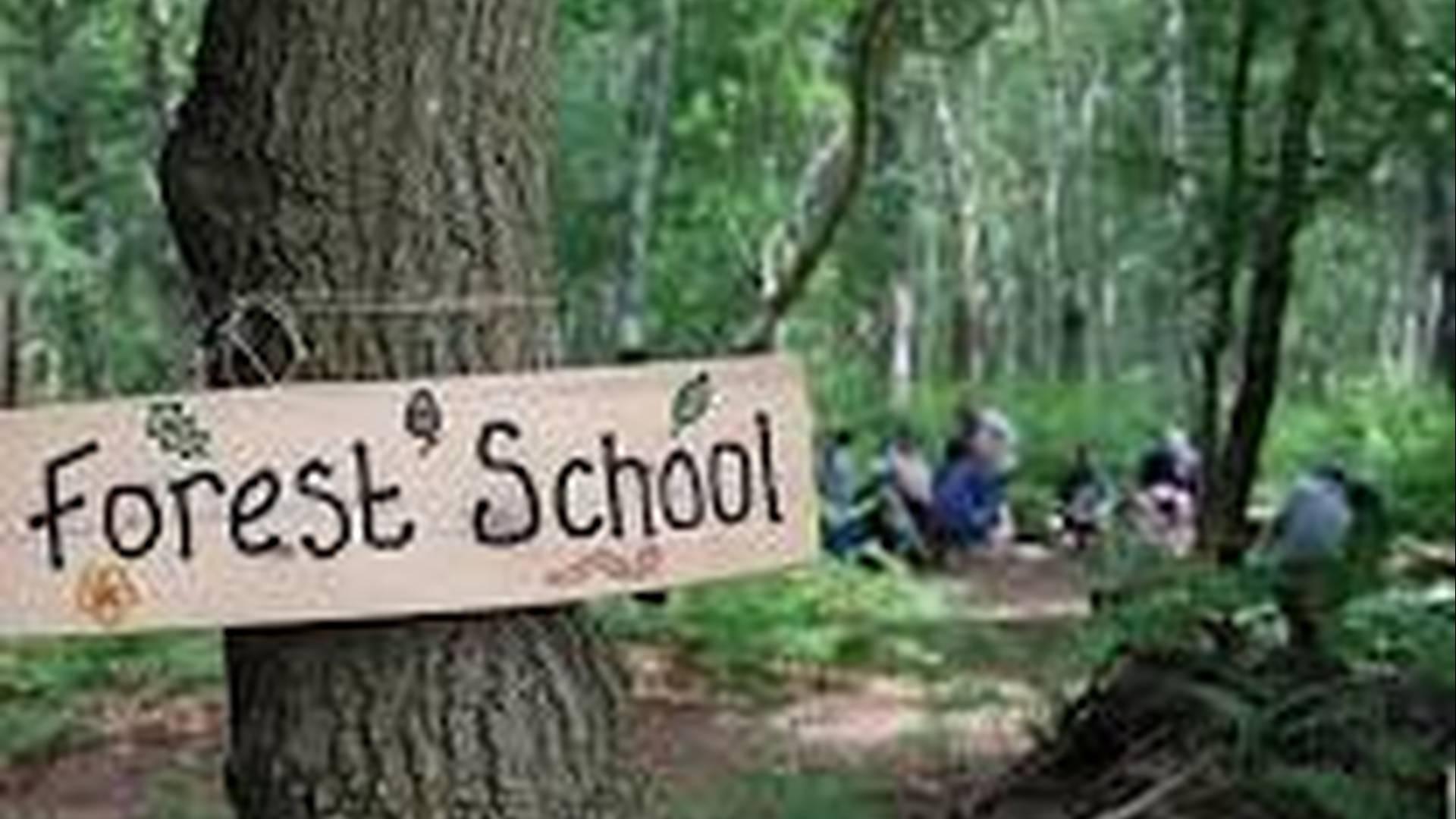 Forest School Holiday Programme Mount Pleasant Primary School 7/8/9 April photo