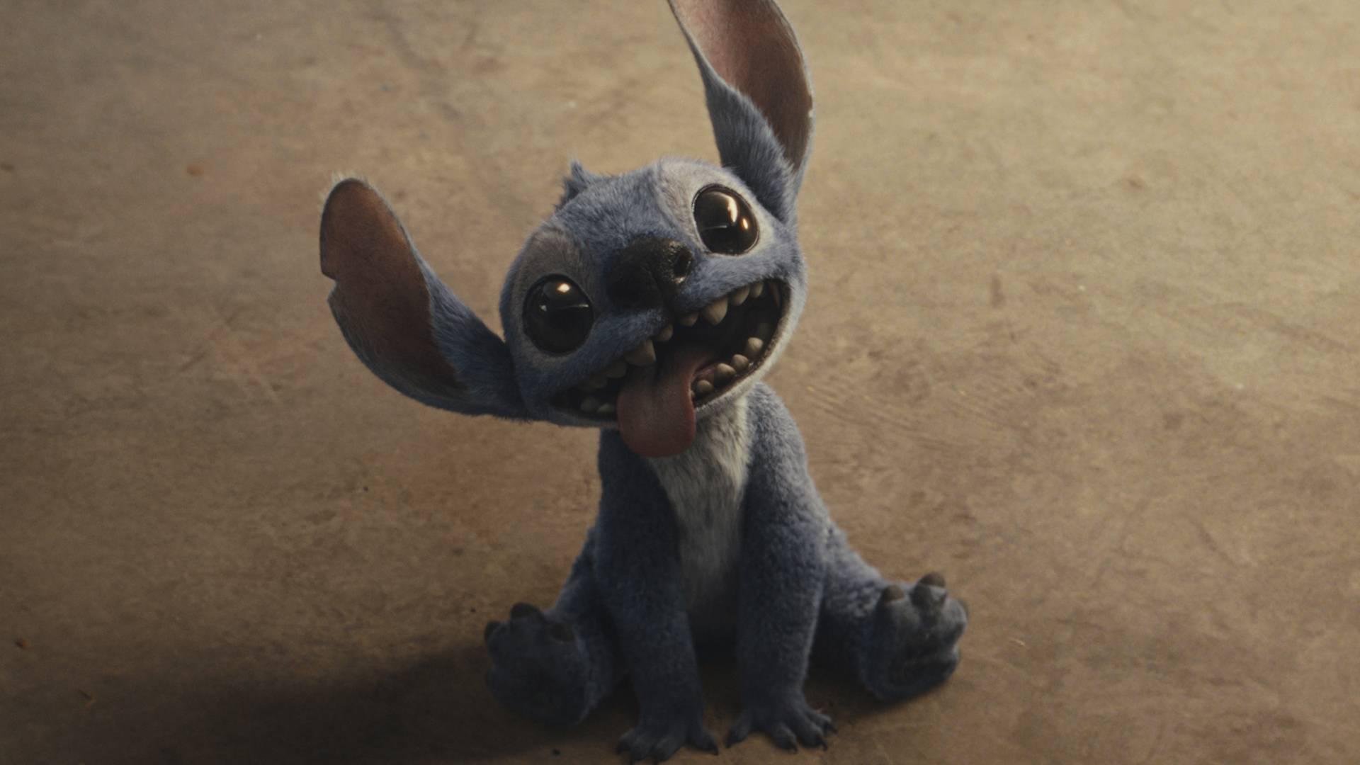 Screening "Lilo & Stitch" photo