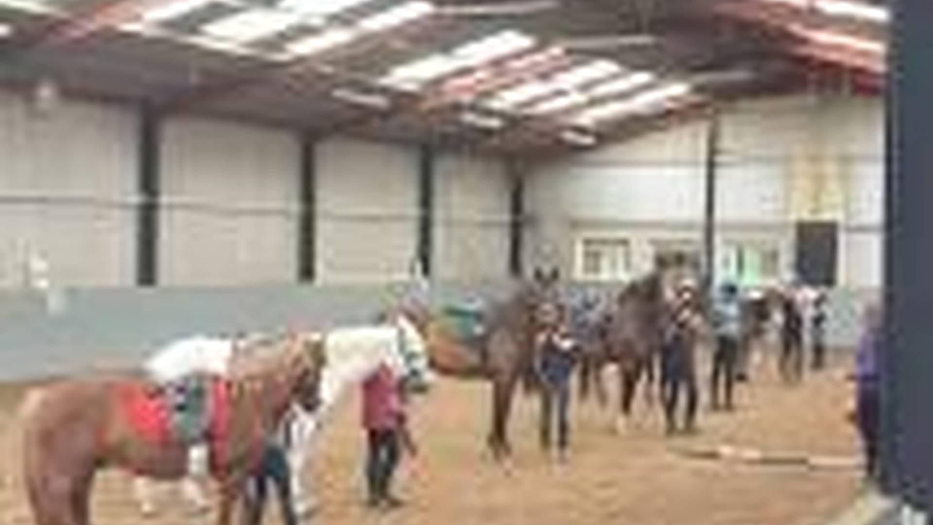 Residential Summer Pony Camp - Fully booked. photo