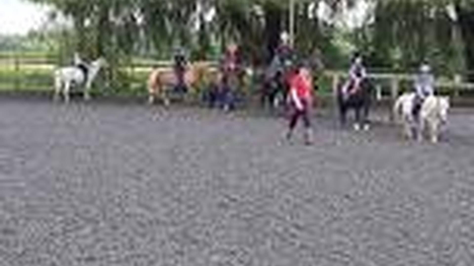 Residential Summer Pony Camp - Fully booked. photo