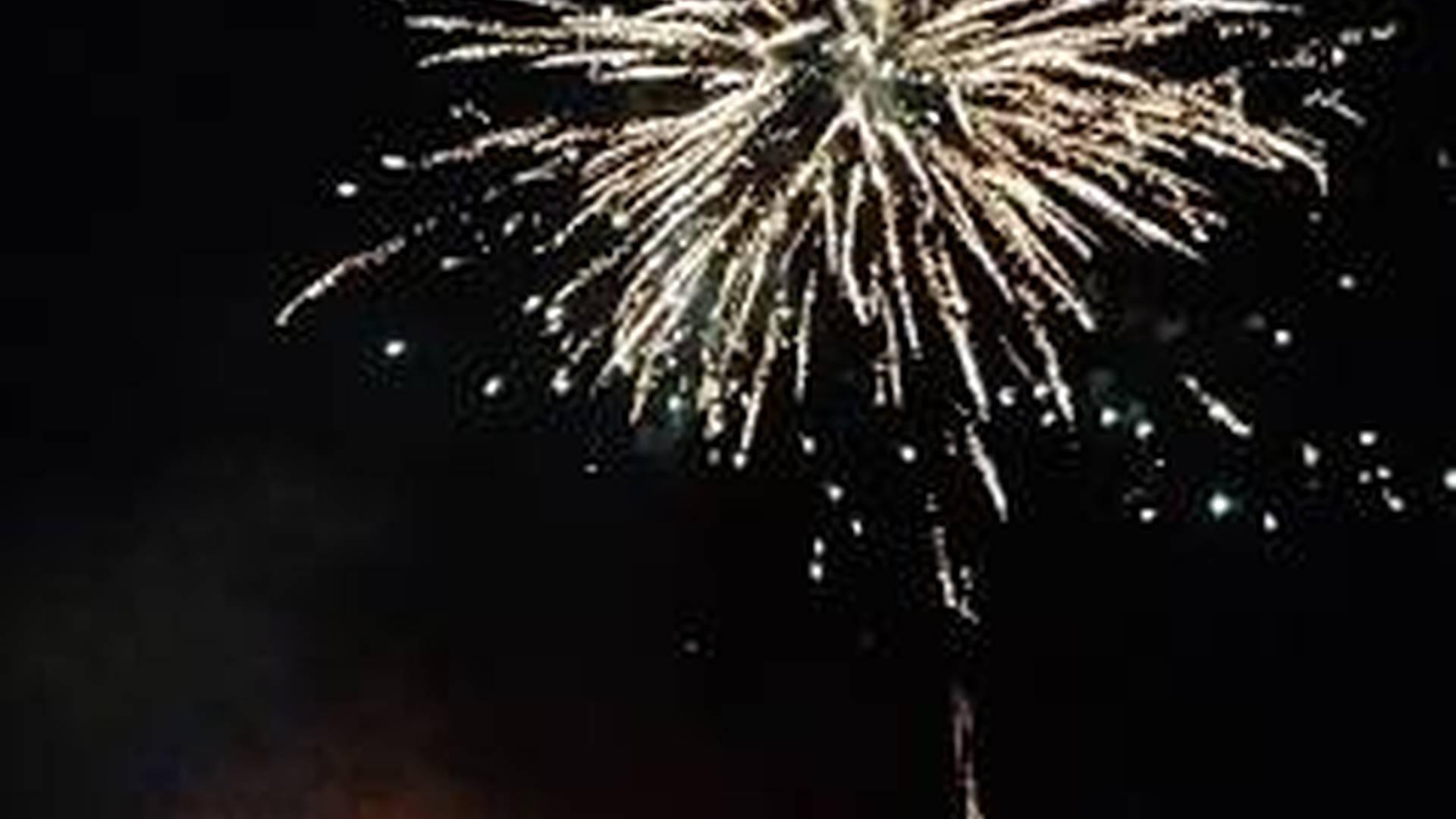Bonfire Bonanza 2024 photo
