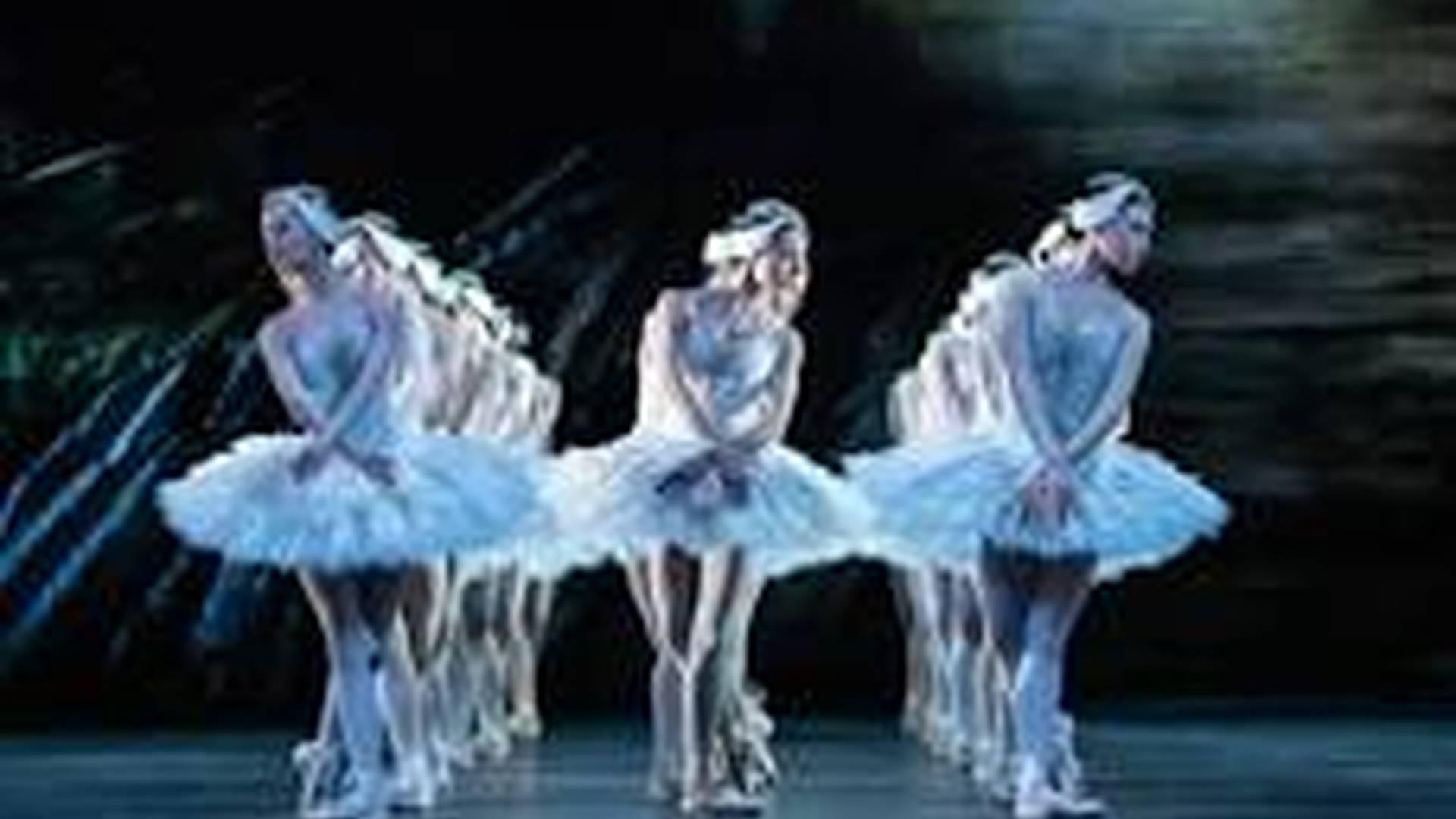 Royal Opera and Ballet 24/25: Swan Lake photo