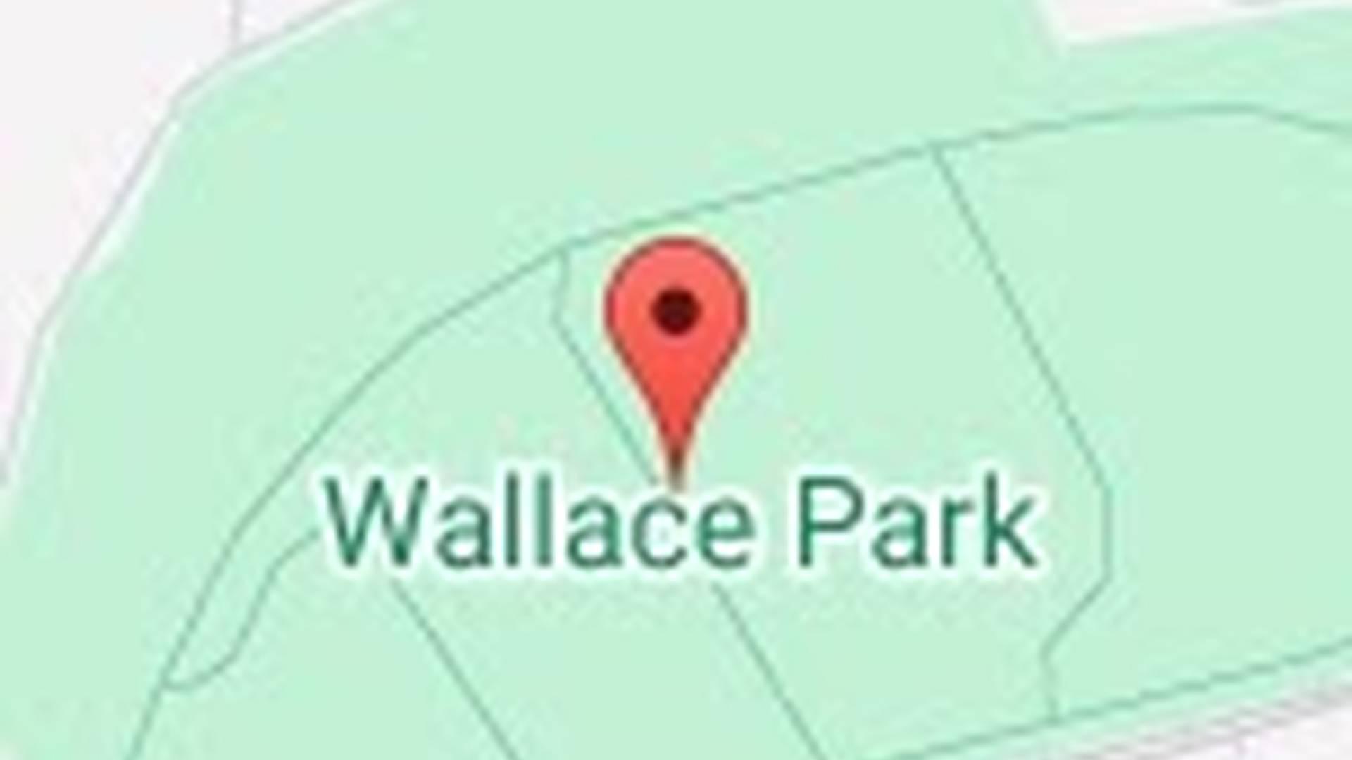 Lisburn Mayor’s Family Fun Day photo