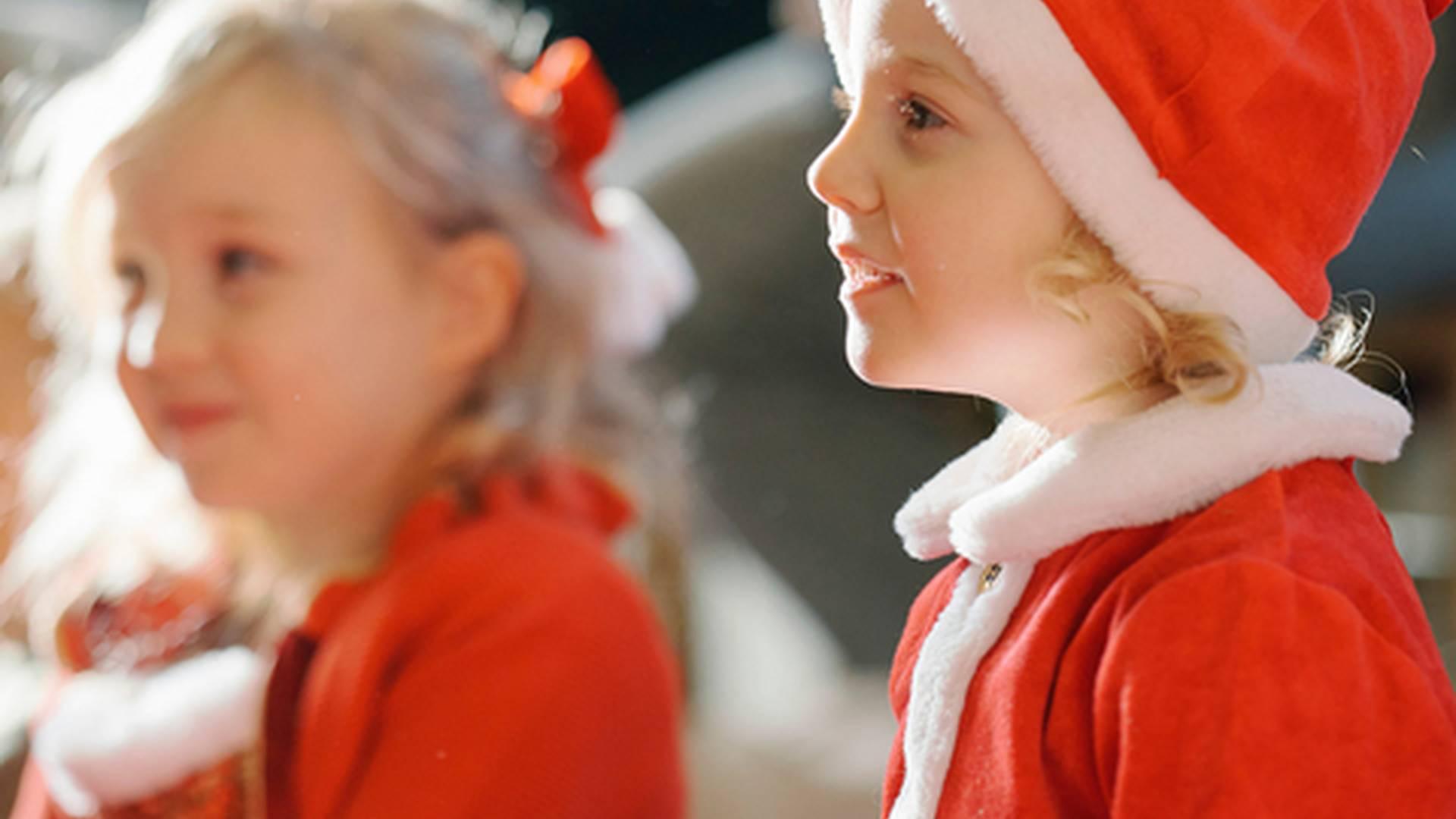 Festive Fun At Kenilworth Castle And Elizabethan Garden photo