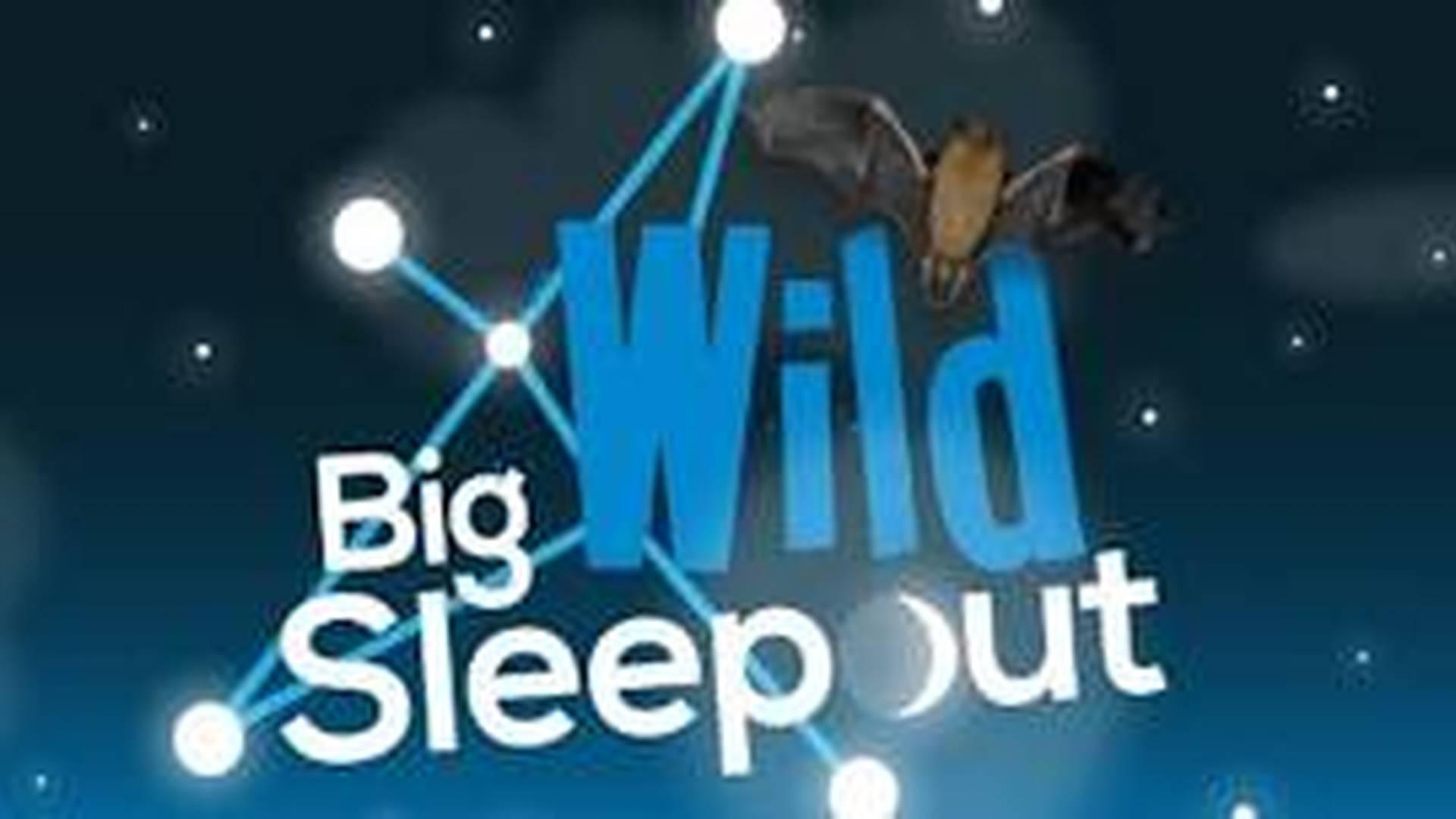 Big Wild SleepOut at RSPB Flatford Wildlife Garden photo