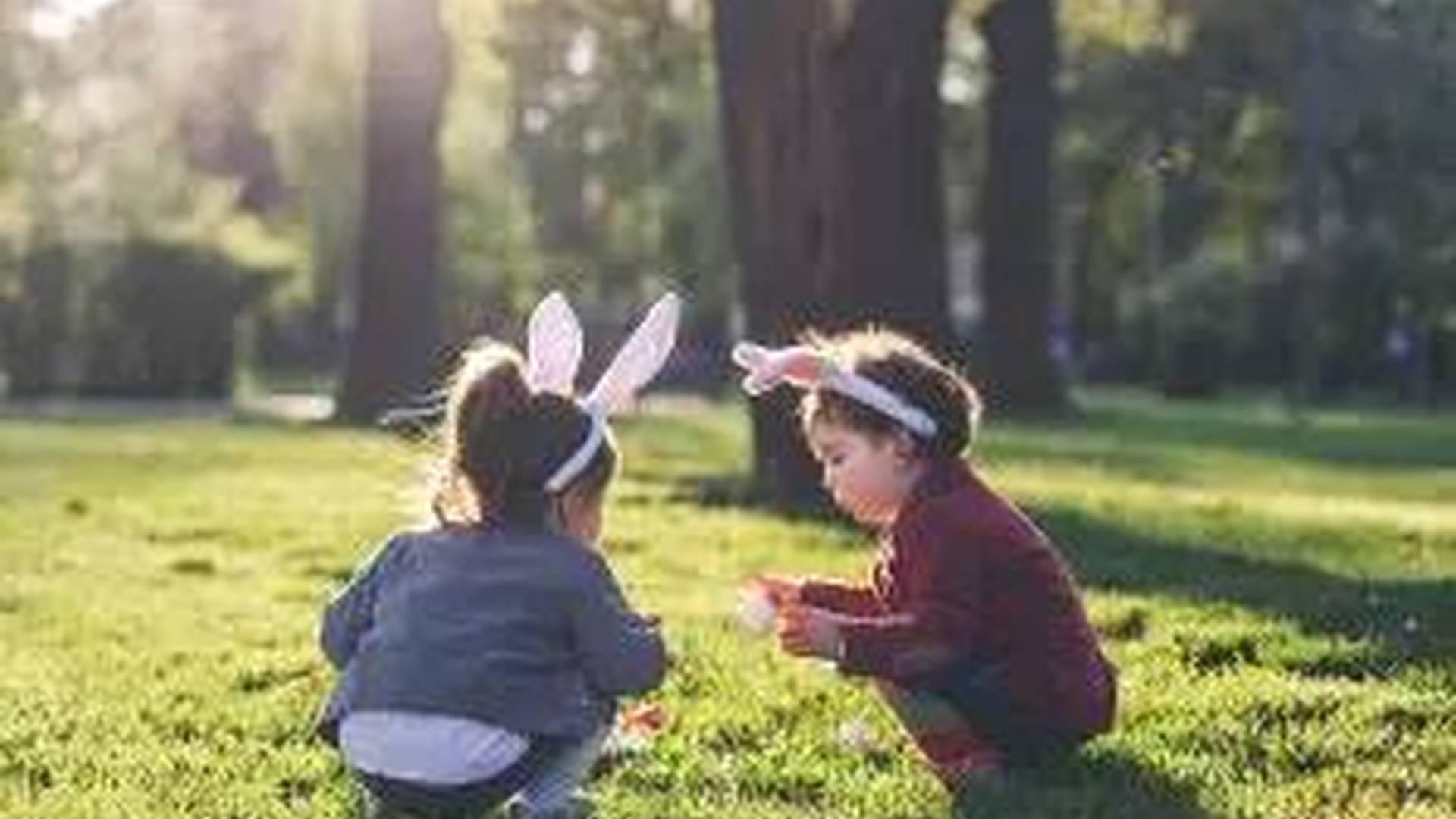 Mini Movies: The Scarecrow's Wedding photo