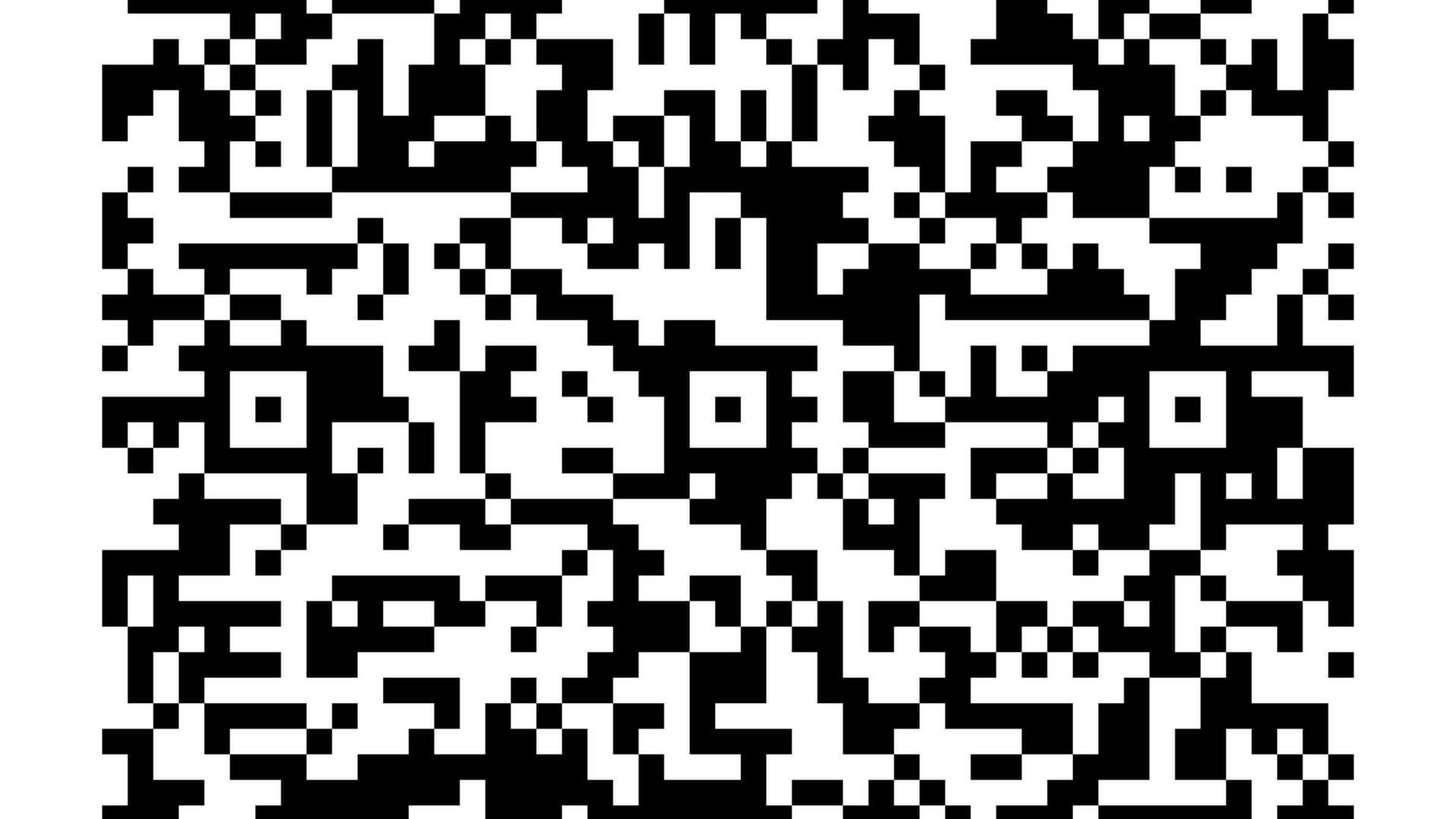 Polework Lesson With Tracey Fox At Northallerton Equestrian Centre photo