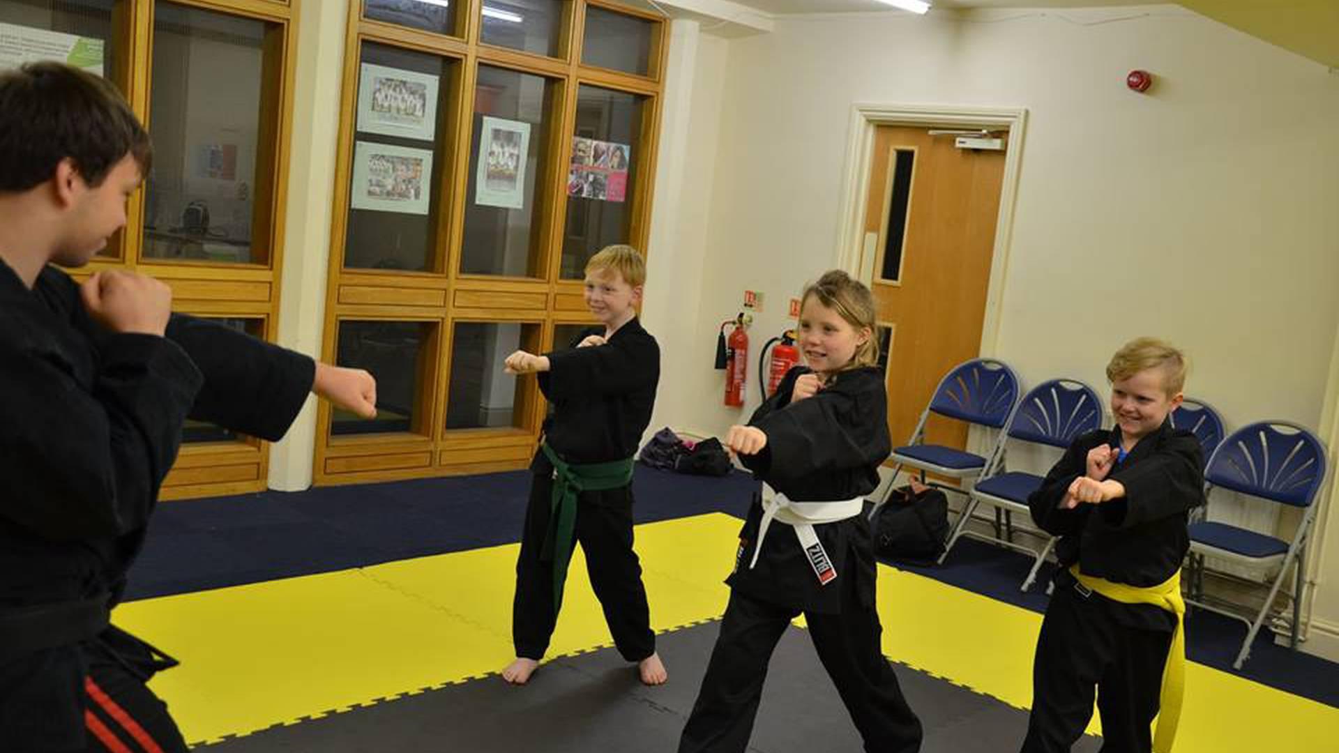 Te-Ashi-Do Martial Arts photo