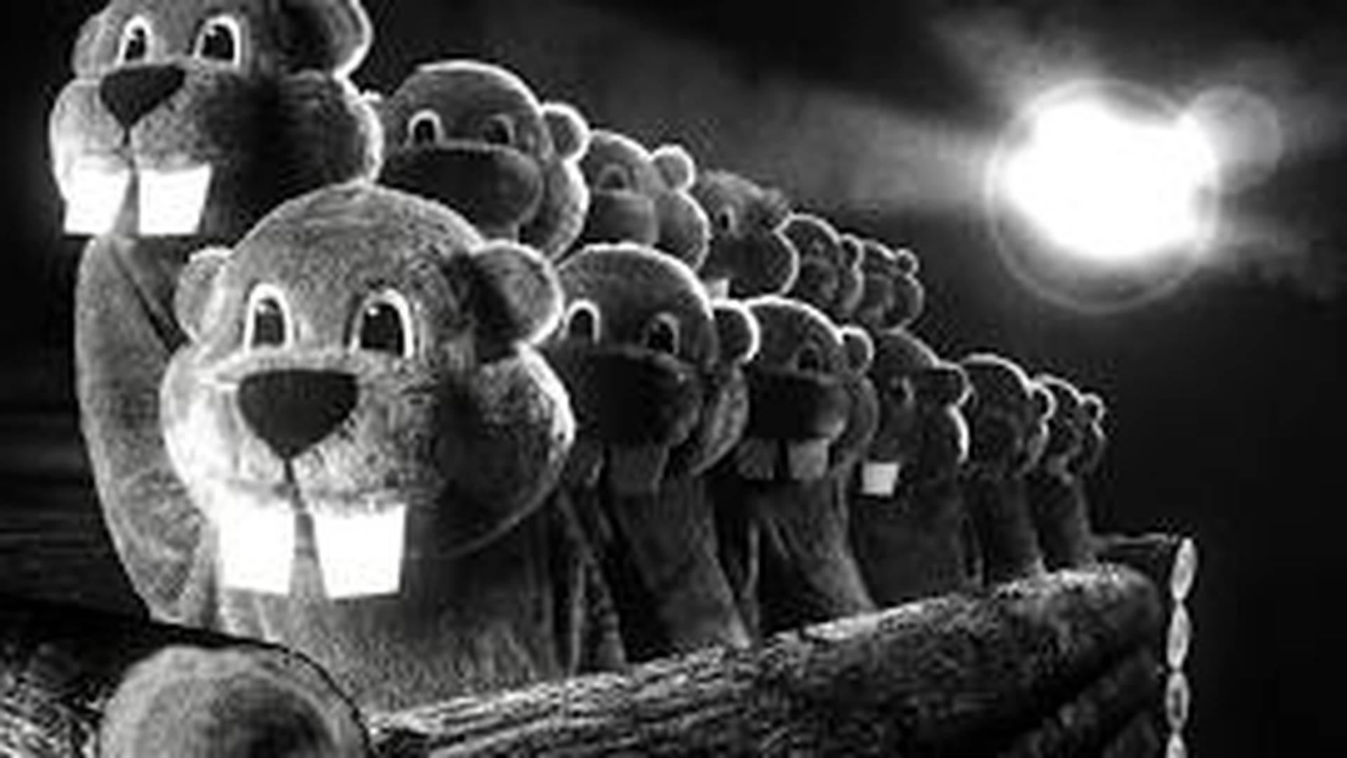 Hundreds of Beavers: Revenge of the Beavers Tour + Q&A photo