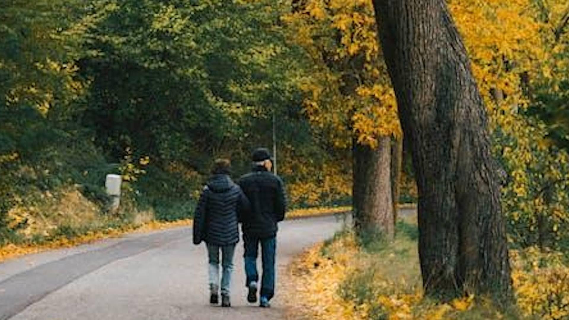 Carers Wellbeing Walk: Beating The January Blues photo