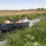 Activity image