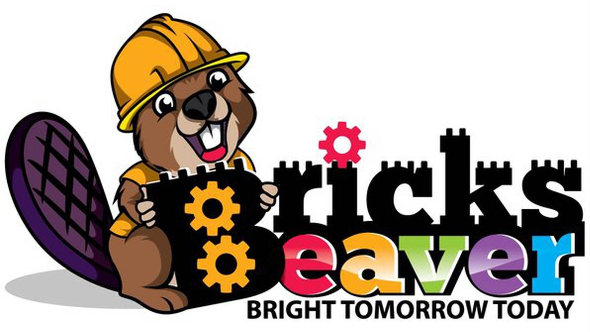 BricksBeaver photo