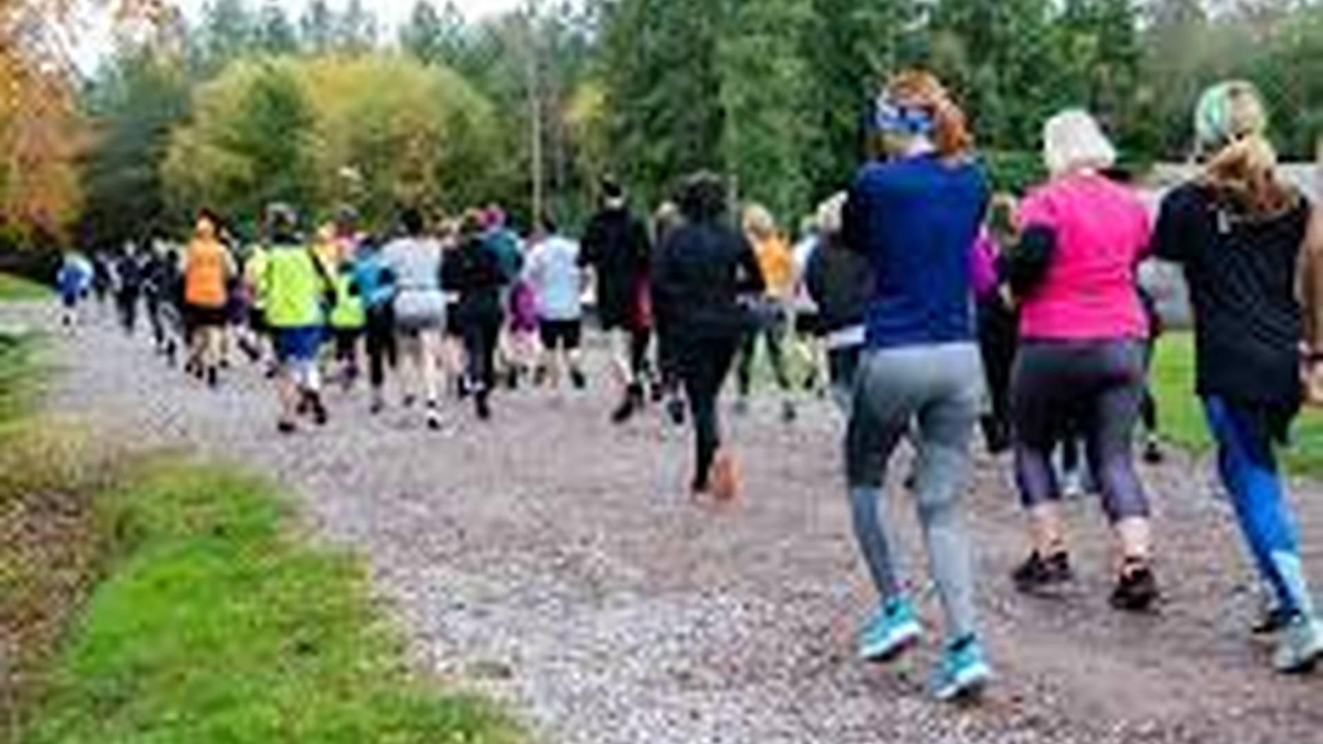 Bolt Round the Holt photo