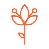 BabyBlossomYoga logo