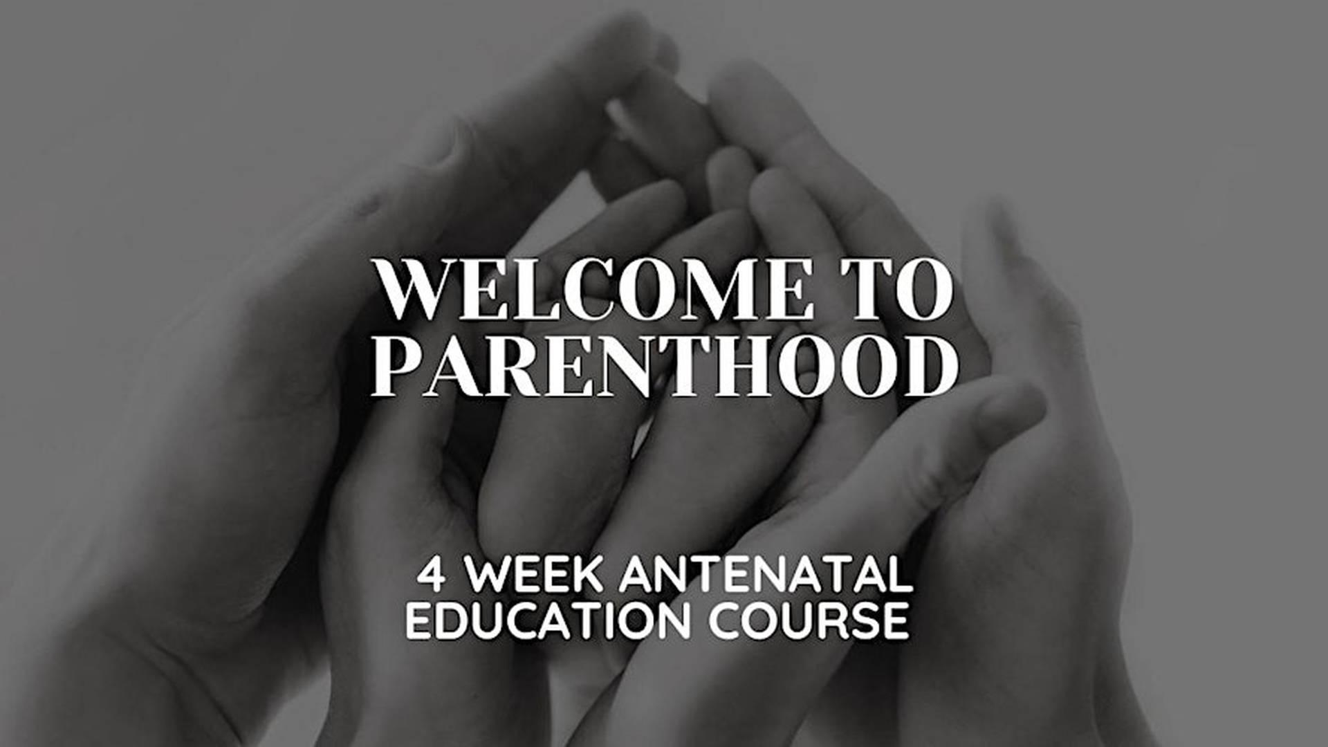Welcome to Parenthood - One Day Course photo