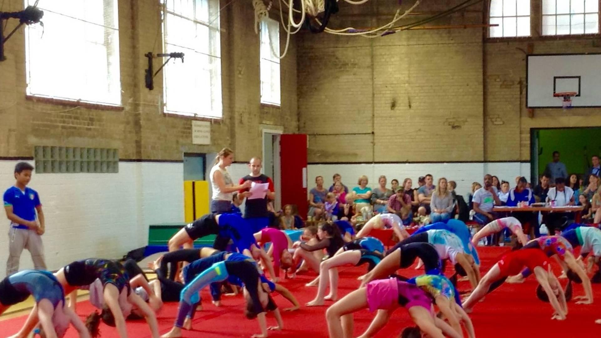Hampstead Gymnastics Ltd photo