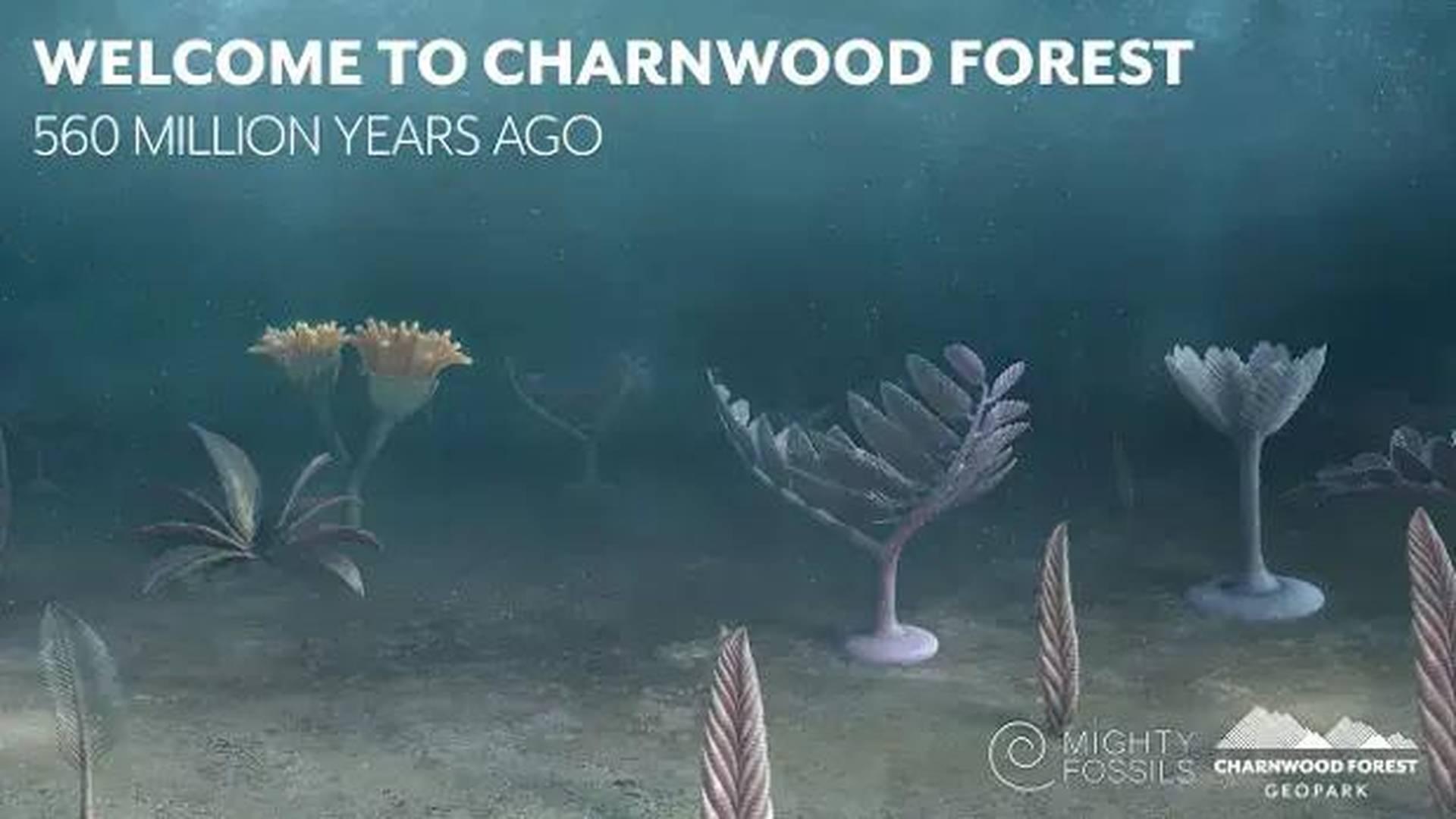 Paint The Precambrian Roadshow - Free Fun With Fossils photo