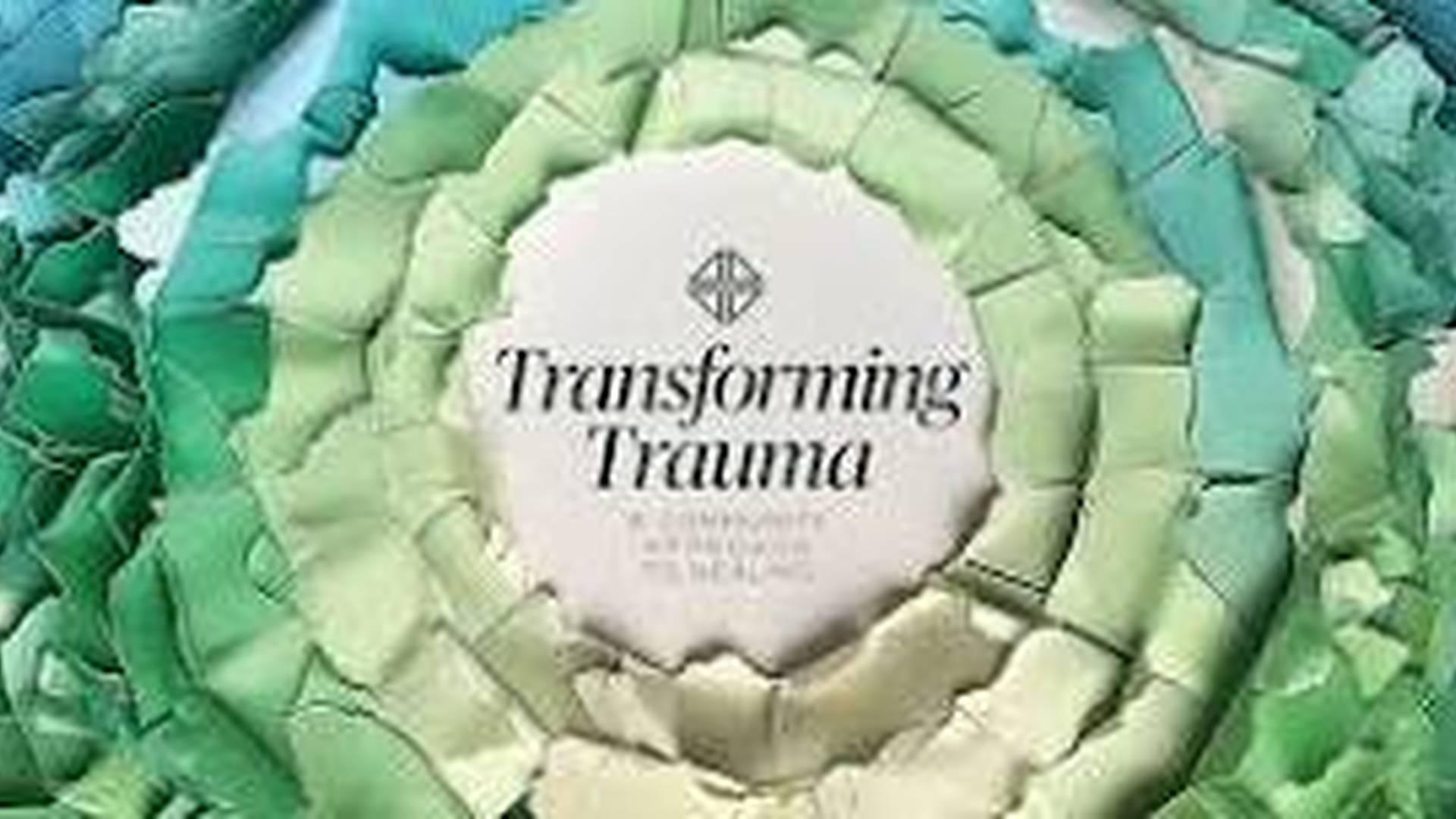 A Community Approach to Trauma photo