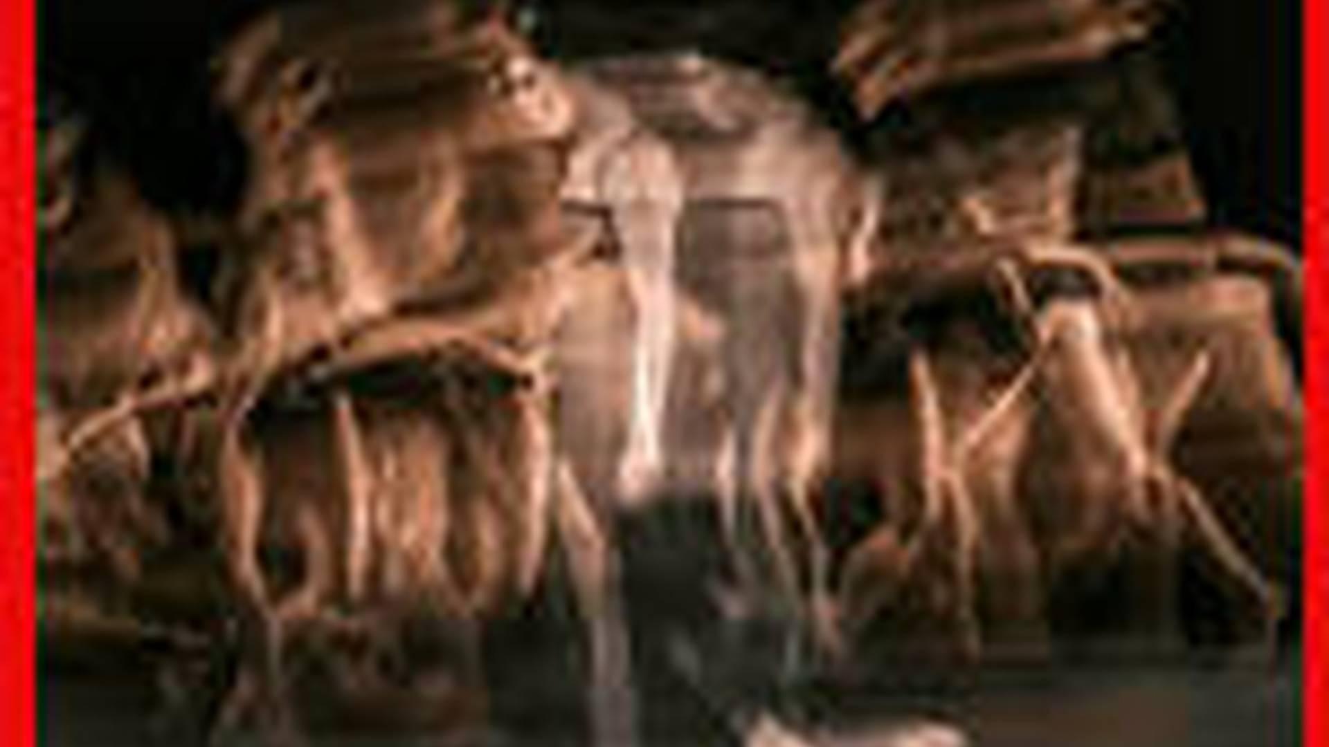 Royal Ballet | Woolf Works photo