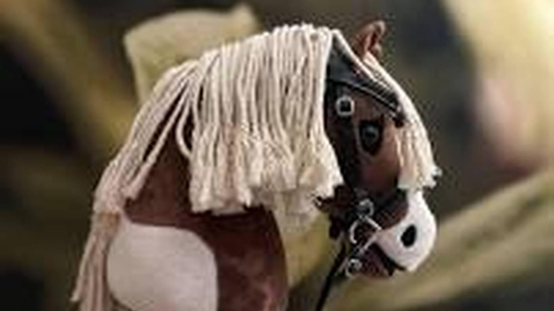 Hobby Horse Adventure Summer Camp! photo