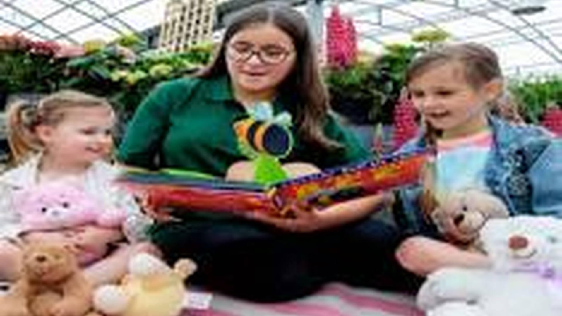 Teddy Bears Picnic at Dobbies photo