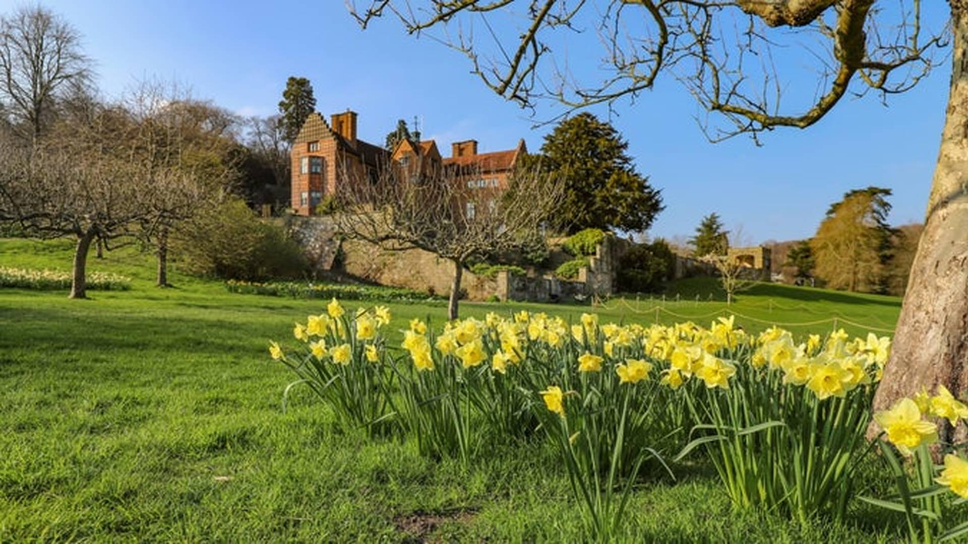 Chartwell Highlight Tours: Churchill the Artist photo