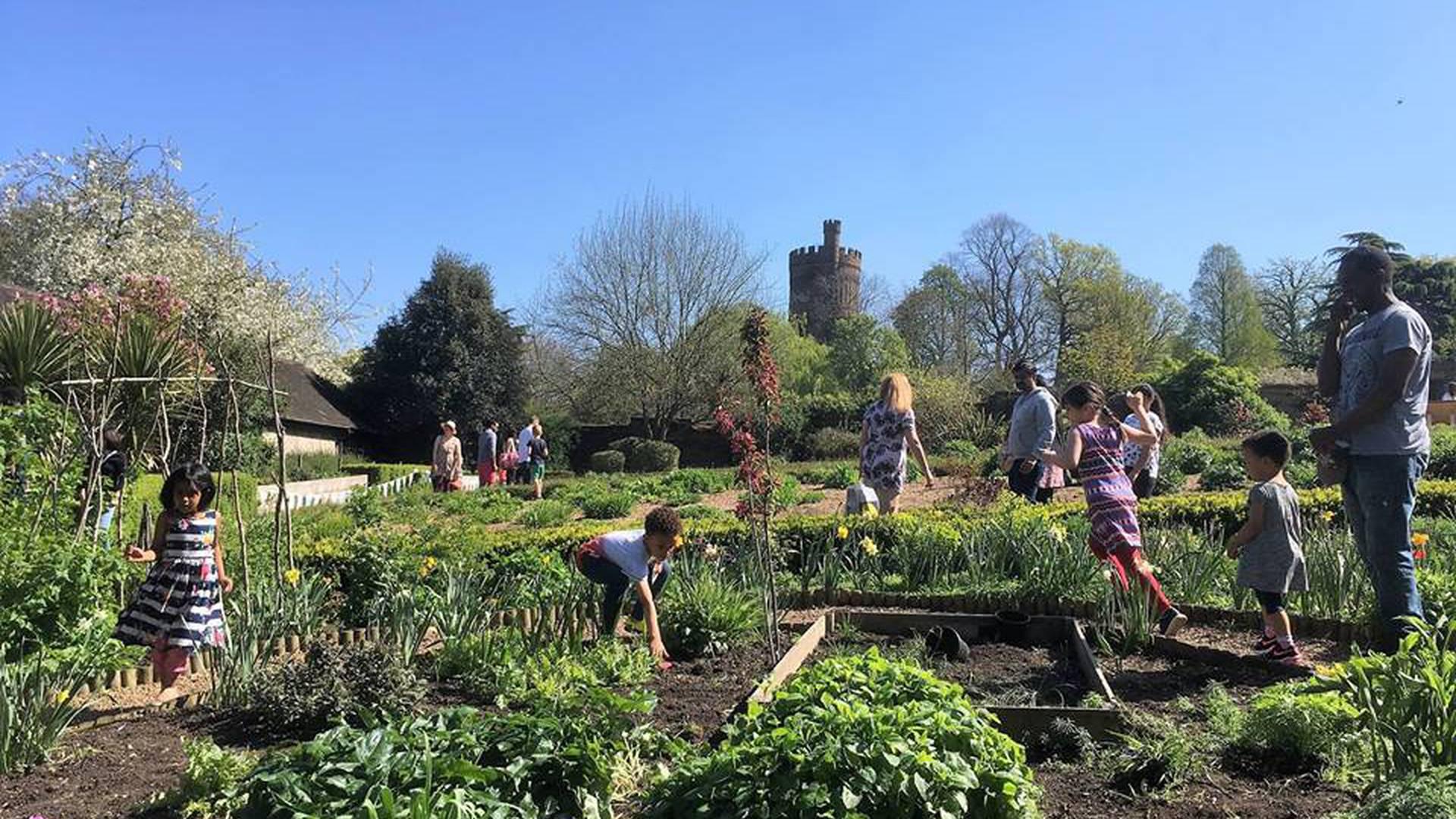 The Friends of Park Hill Park and Recreation Ground photo