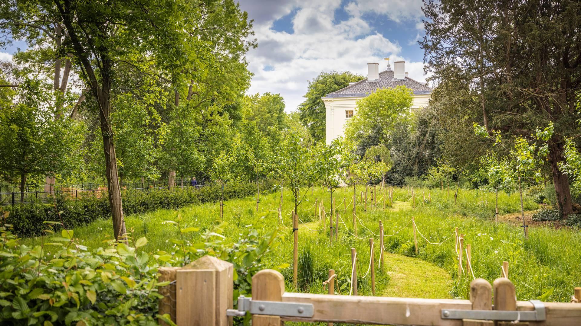 Tree Tour At Marble Hill photo