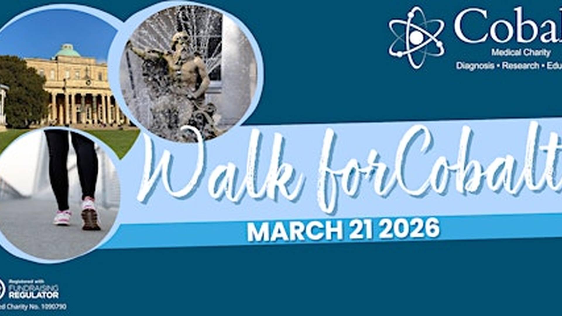 Walk for Cobalt 2026 photo