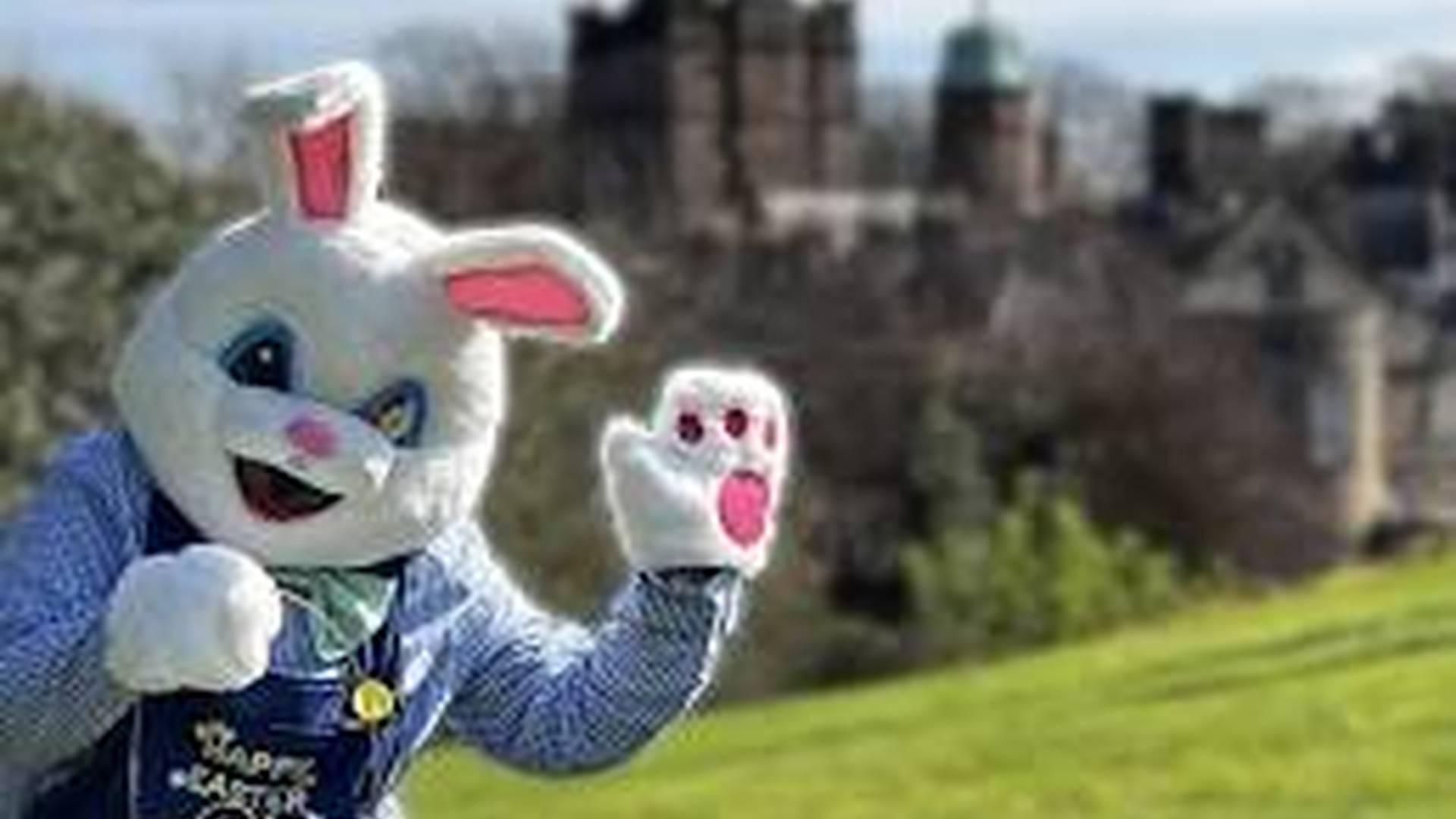 Easter weekend family fun photo