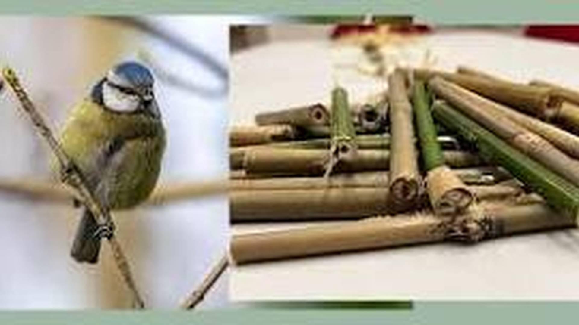 Nature Crafts Family Workshop photo