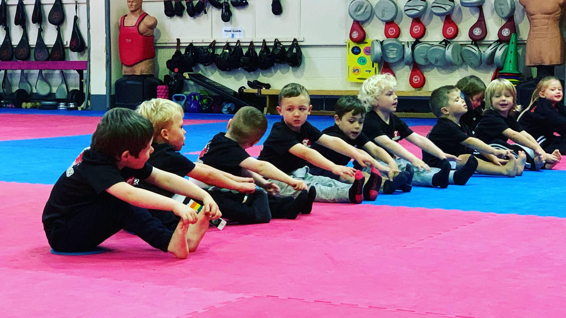 Wirral and Chester Taekwondo photo