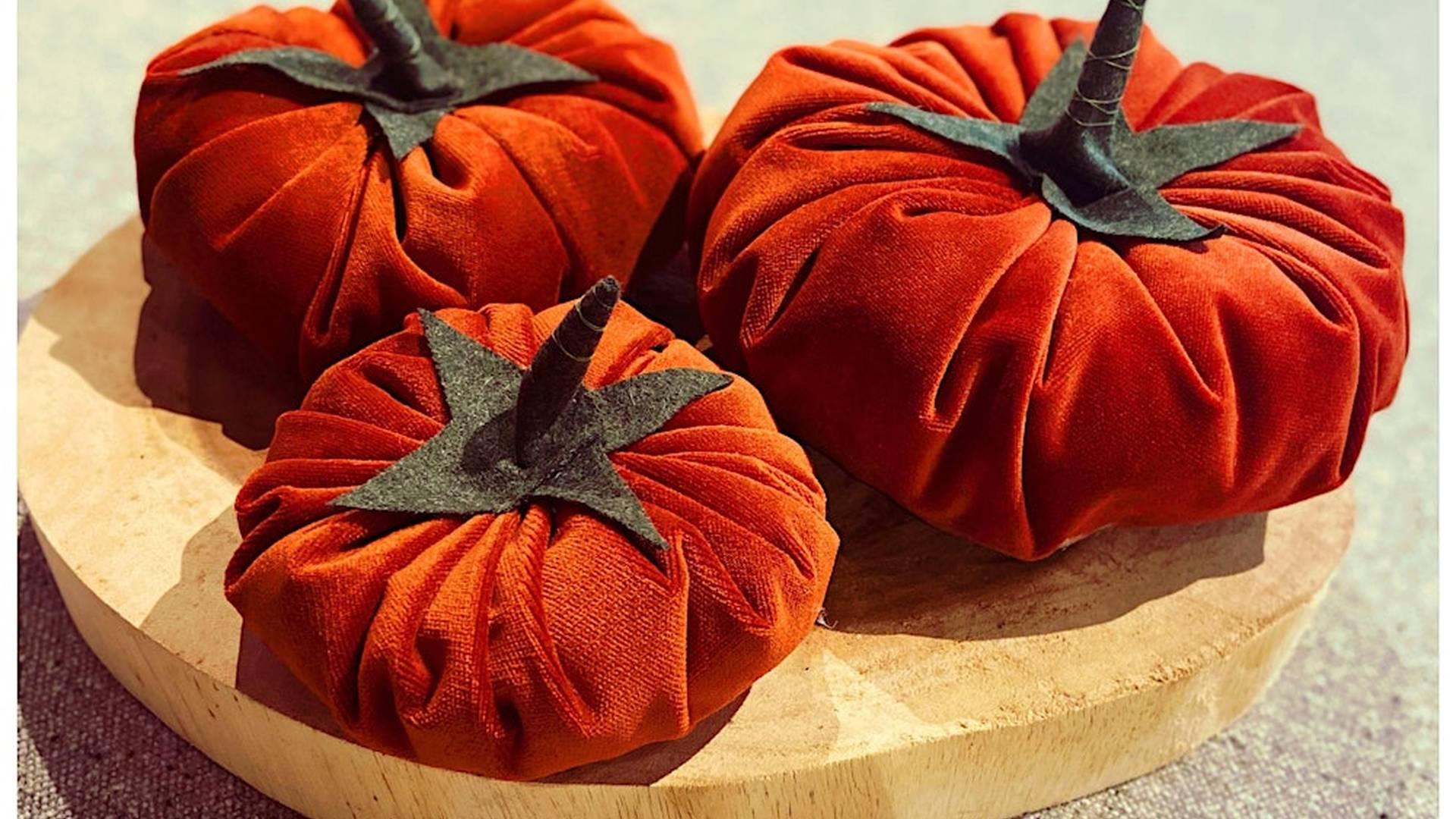 Fabric Pumpkin Craft Workshop photo