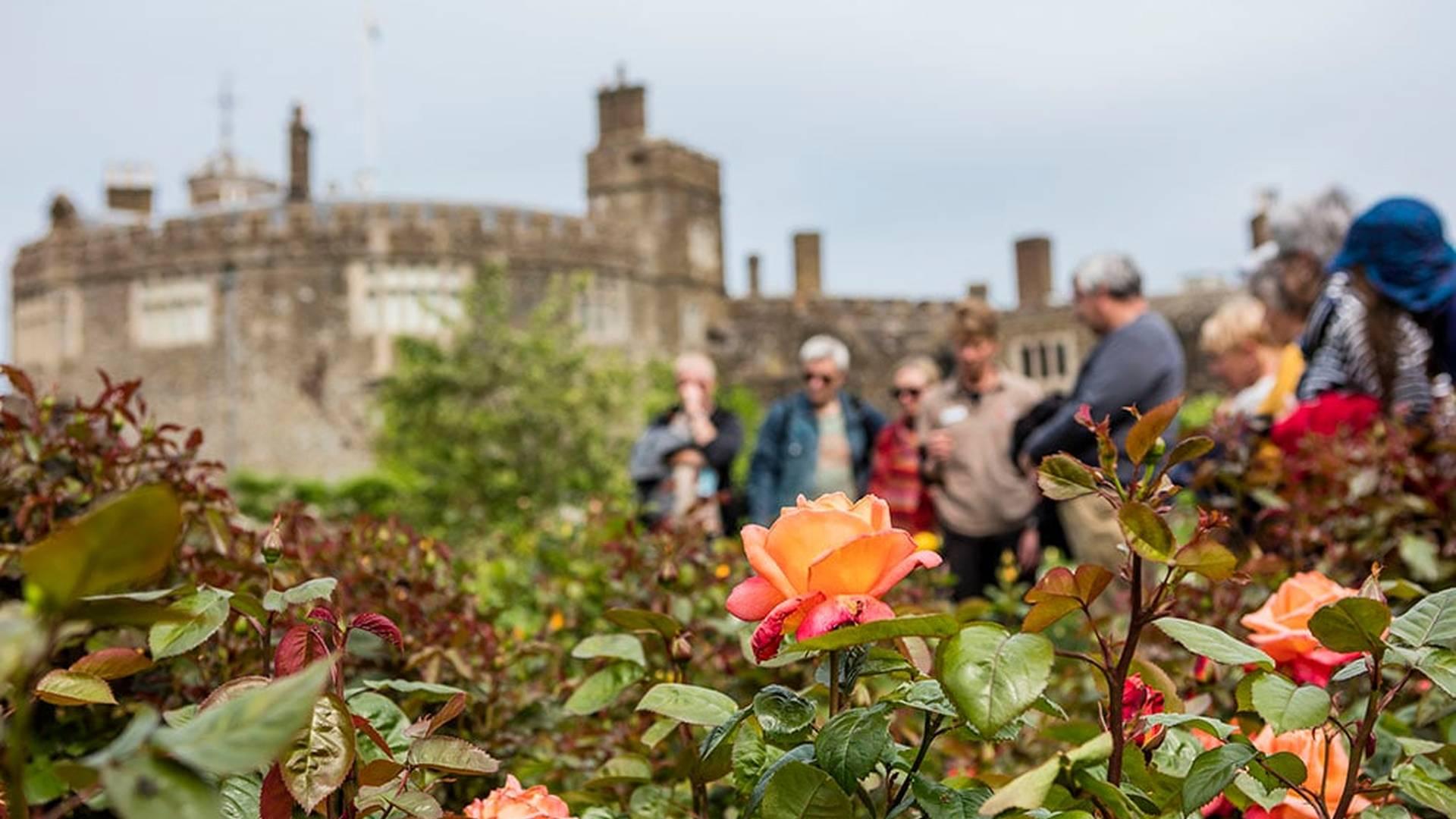 Walmer Castle National Lottery 30th Birthday Garden Horticultural Tour photo