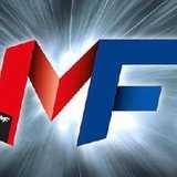 Matt Fiddes Martial Arts logo