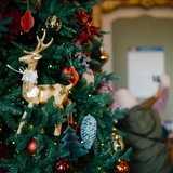 Activity image