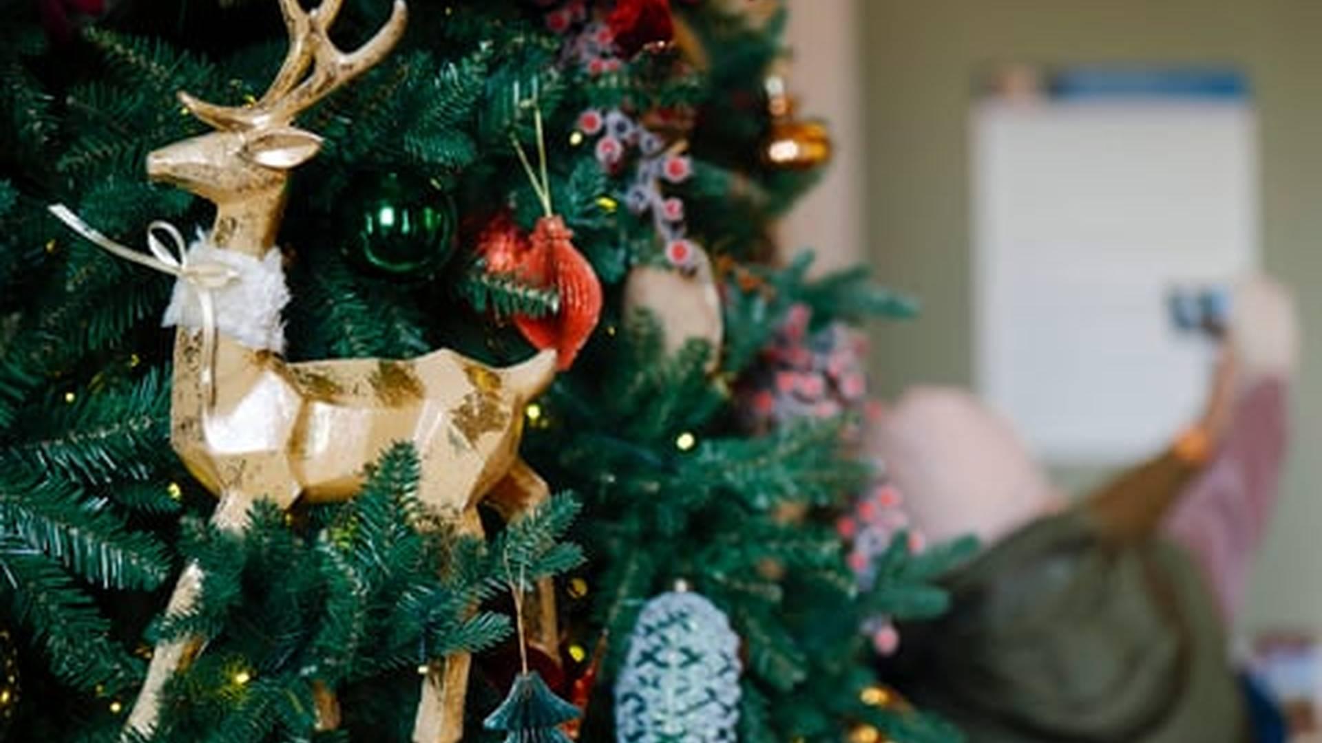 Festive Fun At Bolsover Castle photo
