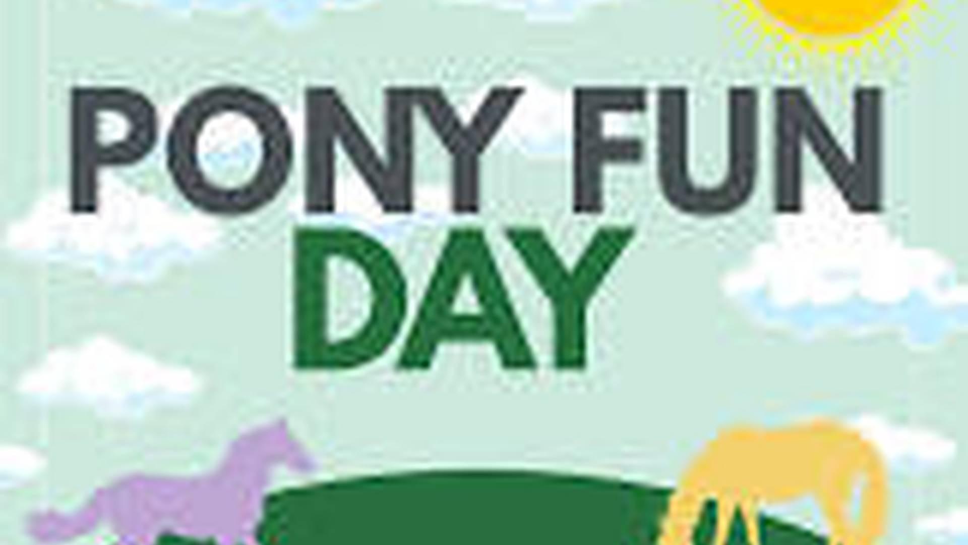 Summer Pony Day photo