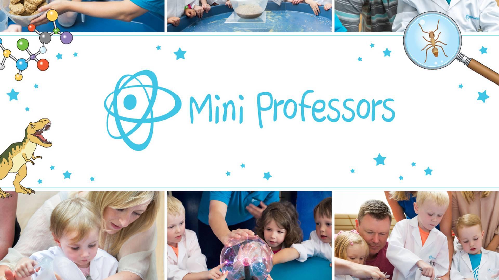 Mini Professors photo